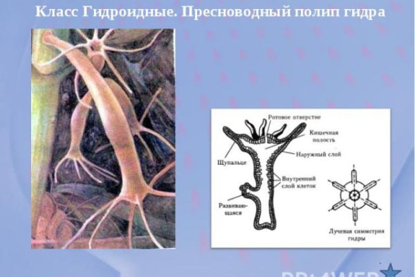 Как положить деньги на кракен