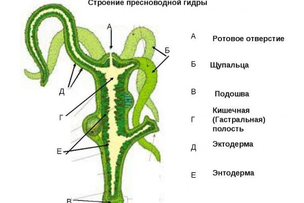 Кракен kr2connect co